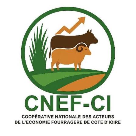 CNEF-CI